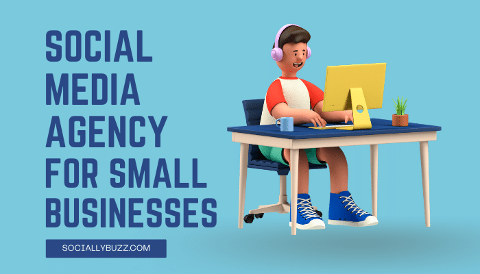 SOCIAL MEDIA AGENCY FOR SMALL BUSINESSES