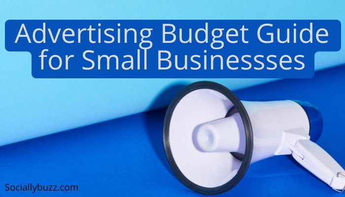 Advertising Budget for Small Businessses - sociallybuzz