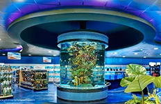 Living Color Aquariums